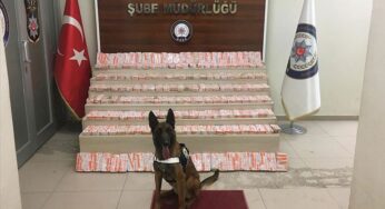 Over 50 kg of Heroin Seized in Southeastern Turkey