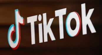 TikTok removes Palestinian account without notice
