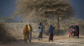 Somalia: Up To 2.1 Million People Face Acute Food Crisis