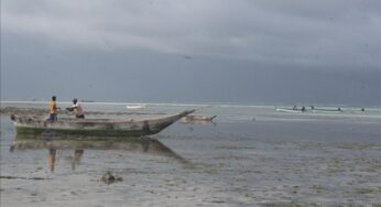 Zanzibar secures $3B from Turkish firm to boost fishing