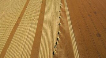 Turkey: Growth in agriculture posts 3-year high