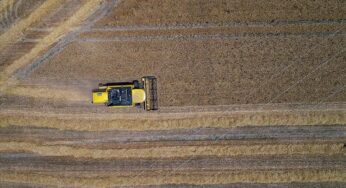 Global food price up for 9th consecutive month: UN body