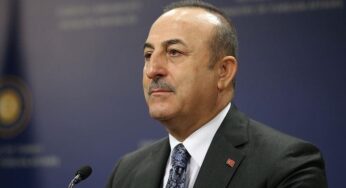 Time to show unity, determination on Palestine: Turkish Foreign Minister