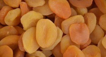 Turkey exports dried apricots to 105 countries