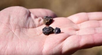 Trade restrictions on rare earths pose threat to green energy transition