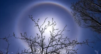 Renewables generate majority of power during Ramadan Eid in Türkiye