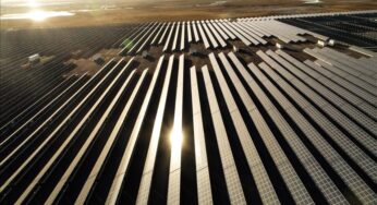 China set to surpass 50% of global solar capacity in 2025