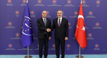 Turkish foreign minister meets secretary general of Council of Europe