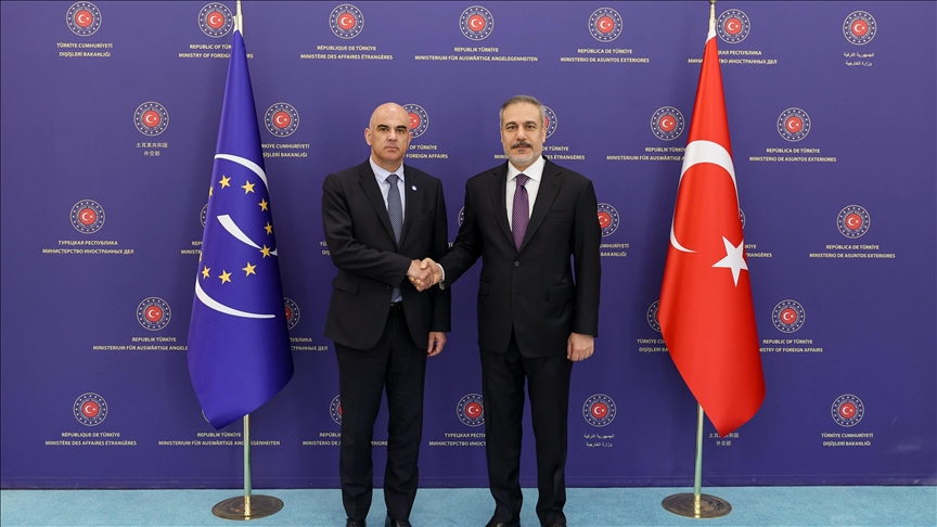 Turkish foreign minister meets secretary general of Council of Europe