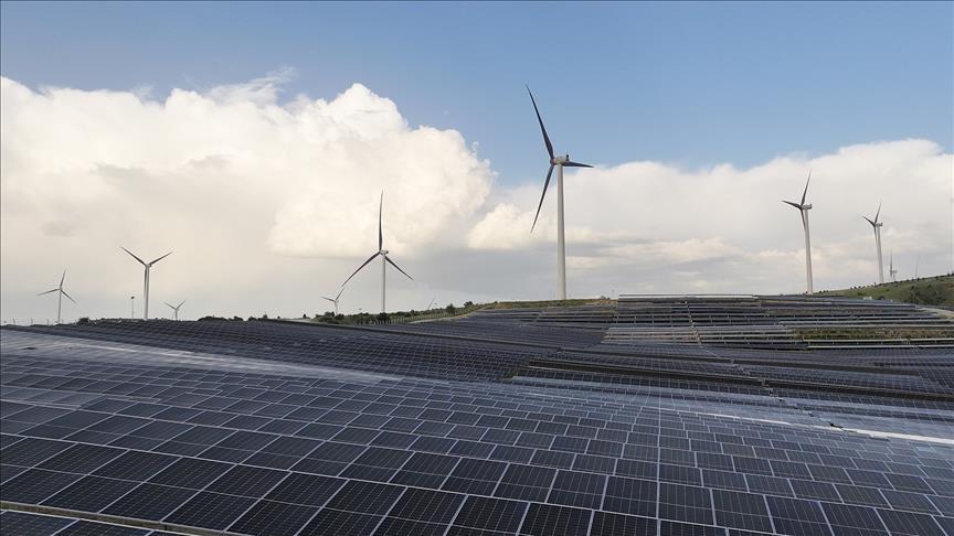 Global executives eye supply chain shift to markets with cleaner energy, survey finds