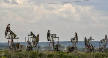 US crude oil inventories down by 0.5% for week ending May 2